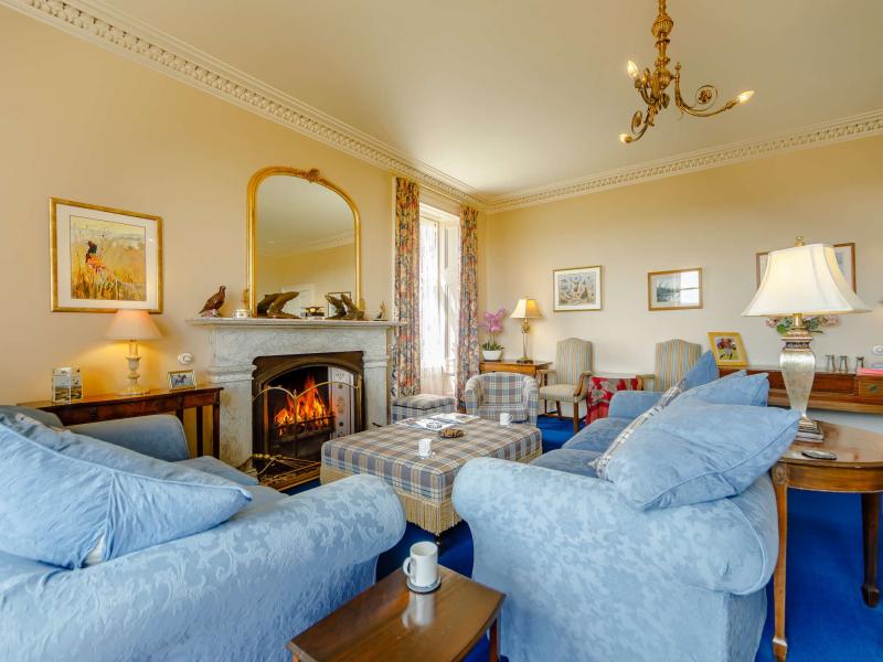 Drawing room with open log fire and check armchairs
